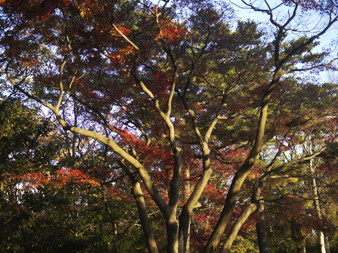 P1280214.jpg